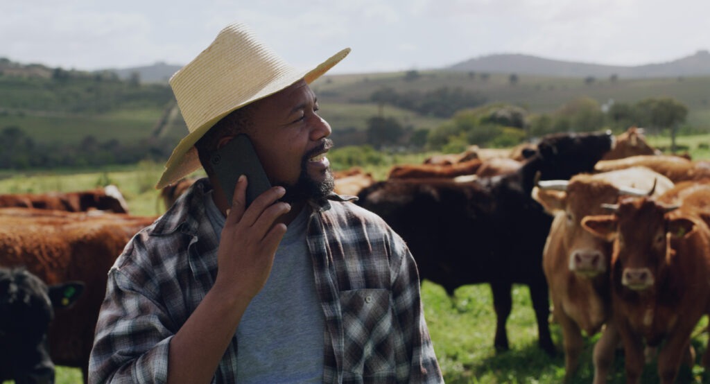 Shot of a mature man using a smartphone while working on a cow farm.